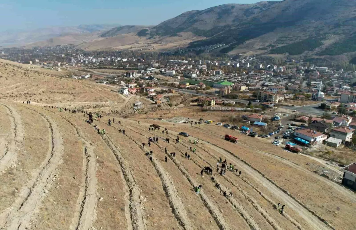Kayseri’de Geleceğe Nefes Projesi kapsamında 11 Kasım’da Fidan Dikimi Yapıldı